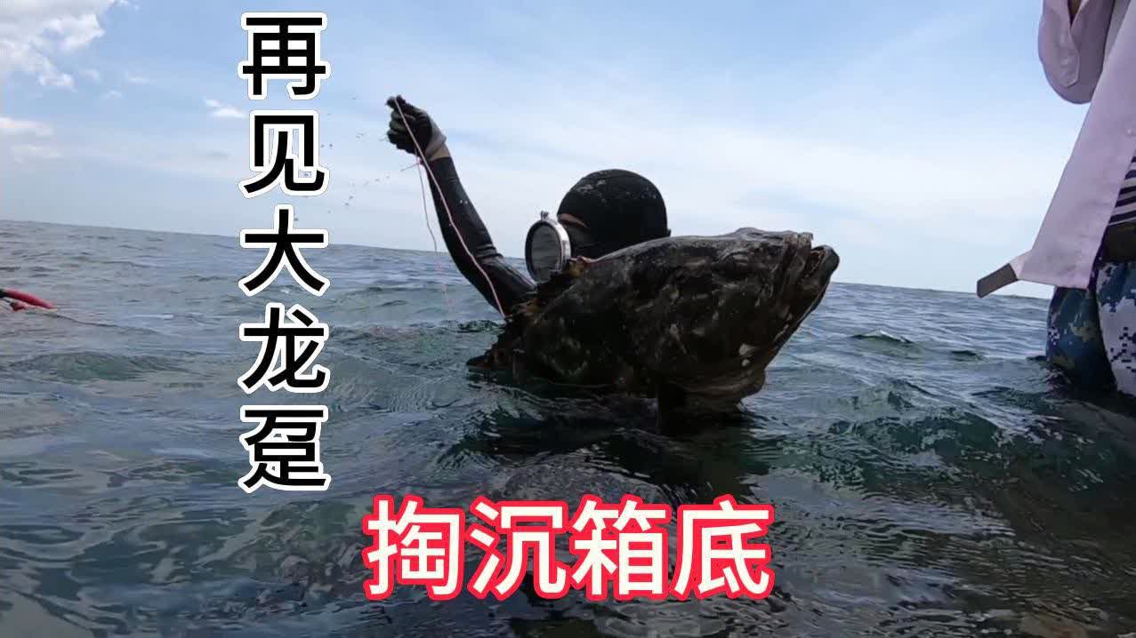 探海│老表海底遭遇大石斑撞脸,阿锋紧急驰援,掏沉箱底绝技重出江湖