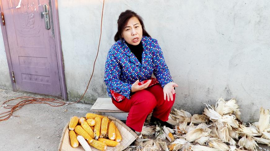 《女人不容易》电视剧_全集(1-37集)高清在线