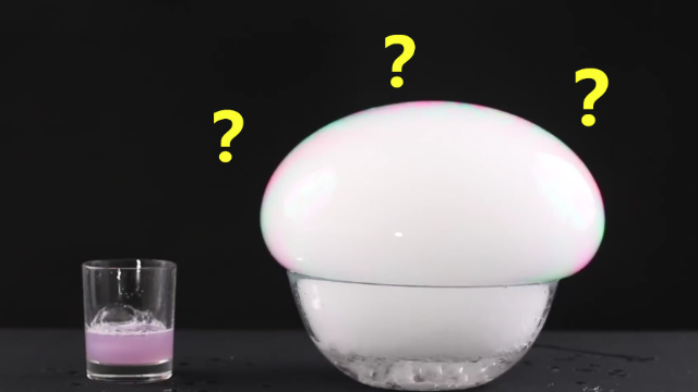 《二氧化碳》电影_高清完整版在线观看【影视