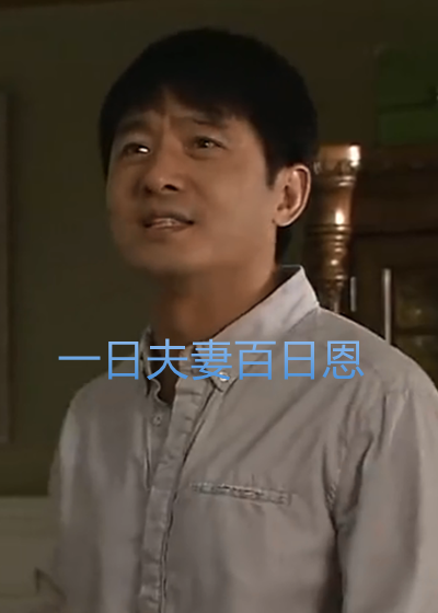 一日夫妻百日恩封面图