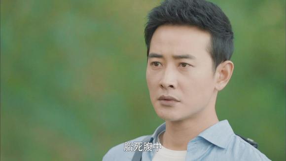 《归去来》电视剧_全集(1-50集)高清在线观看