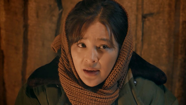 《大牧歌》电视剧_全集(1-40集)高清在线观看