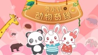 兔小贝之动物奇缘