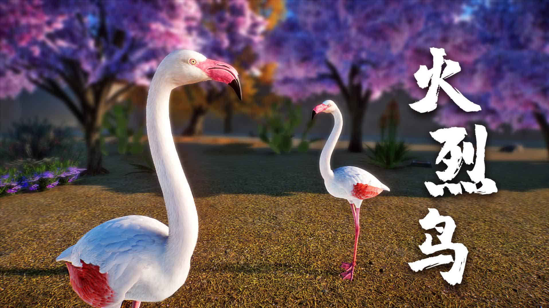 辉哥:动物园之星│迷路的火烈鸟,迁徙途中不慎摔落,我们展开营救-游戏