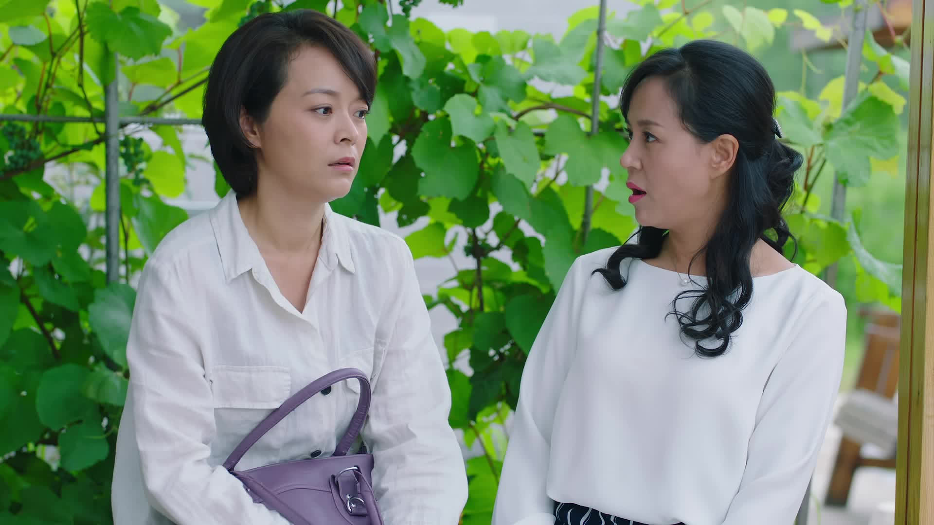 【鲜花盛开的山村】第25集预告