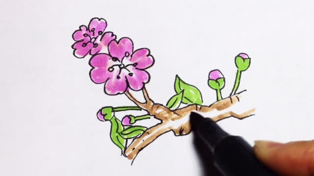 少儿简笔画教学:千树万树梨花开画一树梨花-少儿片花-在线观看-高清