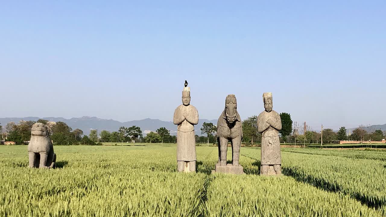 探寻宋哲宗的皇陵永泰陵,神道之上种满了"皇粮"