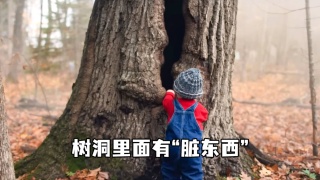 男孩在树洞里发现一只怪物，导致差点要了全家的命